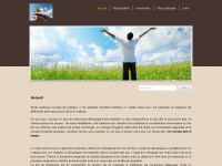 acupuncture-homeopathie.ch Webseite Vorschau