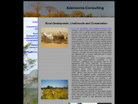adansonia-consulting.ch Thumbnail