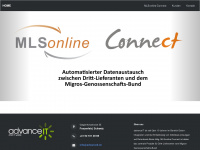 advanceit.ch Webseite Vorschau