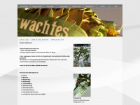 afix.ch Webseite Vorschau