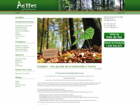 agittes.ch Webseite Vorschau