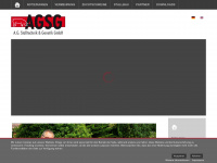 agsg-gmbh.de Webseite Vorschau