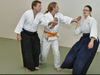 aikido-arte.ch Thumbnail