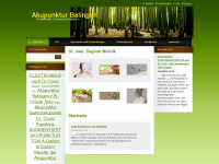 akupunktur-balingen.de Webseite Vorschau