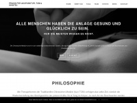 akupunkturluzern.ch Webseite Vorschau