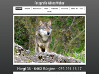 alfonsweber.ch Webseite Vorschau