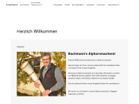 alphornmacherei.ch Webseite Vorschau