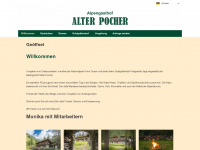 alterpocher.at Webseite Vorschau