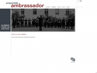 ambrassador.de Webseite Vorschau