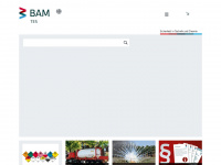 tes.bam.de Webseite Vorschau