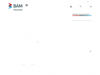ebpg.bam.de Webseite Vorschau