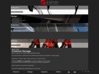 amnis-network.ch Webseite Vorschau