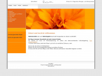 amoor.ch Webseite Vorschau