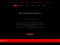 anadolu-olpe.de Webseite Vorschau