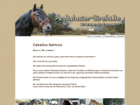 andalusier-direkt.de Webseite Vorschau