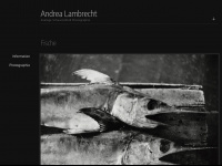 andrealambrecht.at Webseite Vorschau