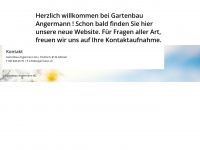 angermann.ch Webseite Vorschau