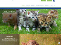 animalis.ch Webseite Vorschau