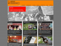 apav.ch Webseite Vorschau