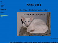 arrowcats.de Webseite Vorschau