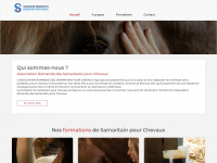 arsc.ch Webseite Vorschau