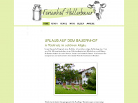 hollerbauer.de Webseite Vorschau