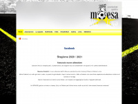 asmoesa.ch Webseite Vorschau