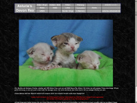 asturias-cats.de Webseite Vorschau