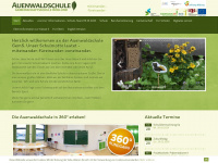 auenwaldschule-boeklund.de Webseite Vorschau