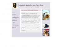 australian-labradoodles.at Webseite Vorschau