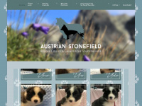 austrian-stonefield-border-collies.at