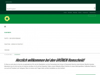 gruene-remscheid.de Webseite Vorschau