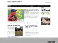 werner-brohammer.de Webseite Vorschau