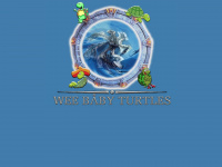 baby-turtles.de Webseite Vorschau