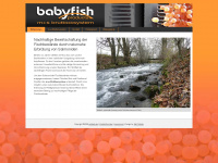 babyfish-brutboxen.de Webseite Vorschau