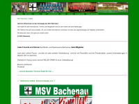 bachenau.de Webseite Vorschau