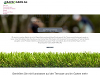 backyards.ch Webseite Vorschau