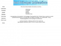baddriburger.de Webseite Vorschau