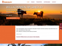 badertscher-reisen.ch Webseite Vorschau