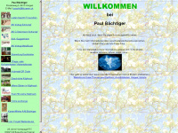 baechtigerhorgen.ch Webseite Vorschau