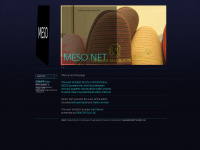 meso.net Webseite Vorschau