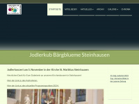 baergblueme-steinhausen.ch Webseite Vorschau