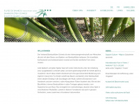 bambusfloete.ch Webseite Vorschau