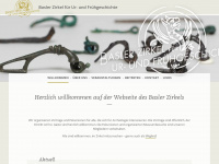 basler-zirkel.ch Webseite Vorschau