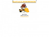 bauallrounder.ch Webseite Vorschau