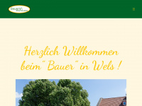 bauer-wels.at Webseite Vorschau