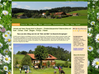 bauernhof-steinmuehle.de Webseite Vorschau