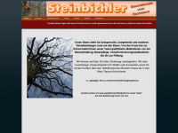 baumdienste-steinbichler.de Webseite Vorschau