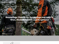 baumpflege-chmelik.at Webseite Vorschau