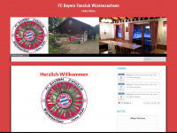 bayernfanclub-wuestensachsen.de Webseite Vorschau